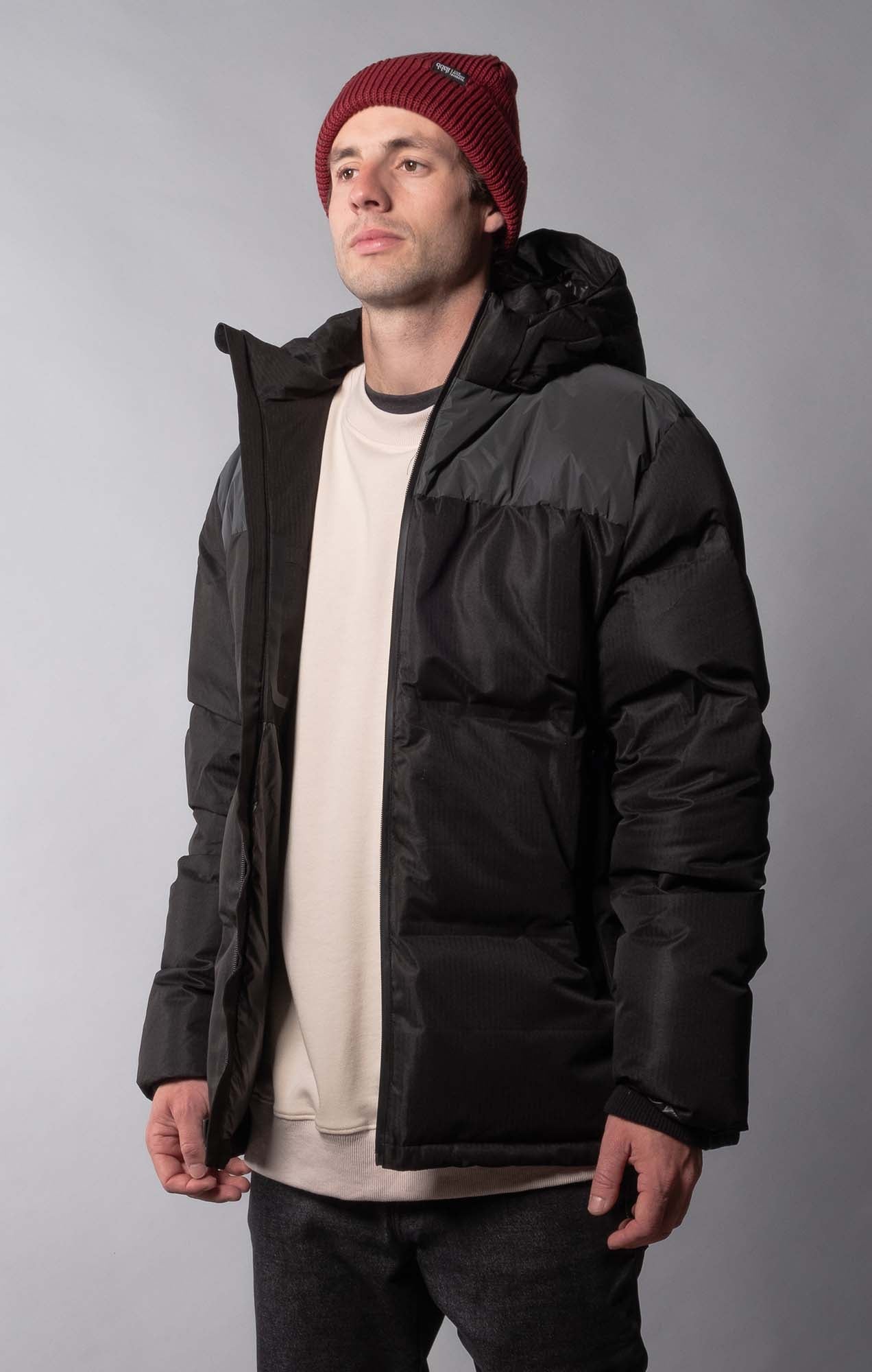 north face alpz jacket mens